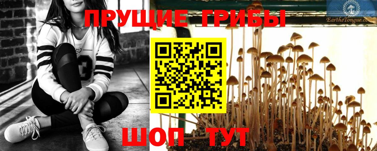 Галлюциногенные грибы мухоморы Жуковский